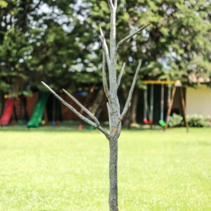 Árbol de Ramas para Decorar