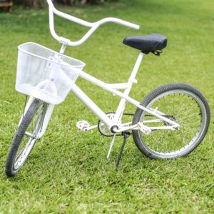 Bicicleta Decorativa