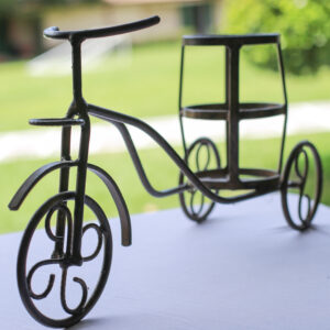 Bicicleta de Hierro
