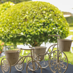 Bicicletas Vintage