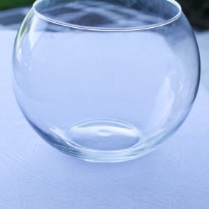 Bowl Vidrio Gigante