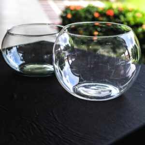Bowls Transparentes