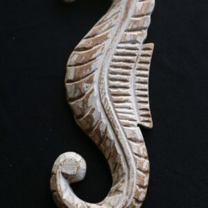 Caballito de Mar