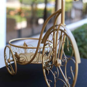 Bicicleta Dorada
