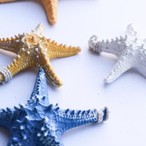 Juego Estrellas de Mar