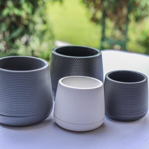 Macetitas Blanca Grises y Negra