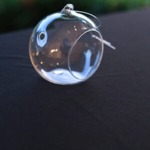Mini Manzanita Cristal