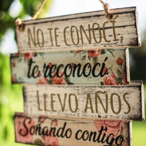 Rótulo: No Te Conocí, Te Reconocí