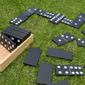 Juego de madera: Domino Gigante